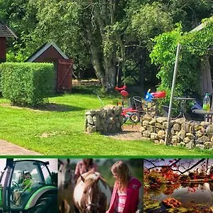 Stutteri Skandihest Farm stay